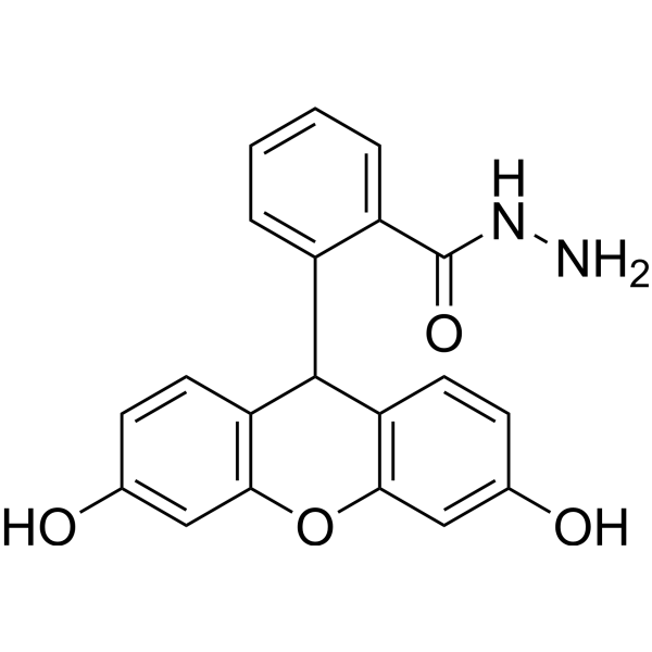 Fluorescein hydrazide 109653-47-6